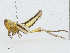  ( - CBG-A04498-A06)  @11 [ ] CreativeCommons - Attribution (2023) CBG Photography Group Centre for Biodiversity Genomics