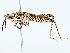  ( - BIOUG89926-F07)  @11 [ ] CreativeCommons - Attribution (2022) CBG Photography Group Centre for Biodiversity Genomics