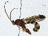  ( - BIOUG99560-F12)  @11 [ ] CreativeCommons - Attribution (2023) CBG Photography Group Centre for Biodiversity Genomics