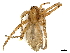  ( - CBG-A01175-H10)  @11 [ ] CreativeCommons - Attribution (2023) CBG Photography Group Centre for Biodiversity Genomics