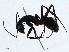  ( - CBG-A01195-C07)  @11 [ ] CreativeCommons - Attribution (2023) CBG Photography Group Centre for Biodiversity Genomics