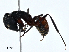  ( - CBG-A02871-A07)  @11 [ ] CreativeCommons - Attribution (2023) CBG Photography Group Centre for Biodiversity Genomics