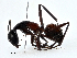  ( - CBG-A02871-E05)  @11 [ ] CreativeCommons - Attribution (2023) CBG Photography Group Centre for Biodiversity Genomics