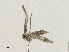  ( - CBG-A04499-D01)  @11 [ ] CreativeCommons - Attribution (2023) CBG Photography Group Centre for Biodiversity Genomics