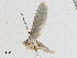  ( - CBG-A04499-D03)  @11 [ ] CreativeCommons - Attribution (2023) CBG Photography Group Centre for Biodiversity Genomics