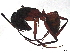  ( - CBG-A04515-E11)  @11 [ ] CreativeCommons - Attribution (2023) CBG Photography Group Centre for Biodiversity Genomics