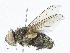  ( - CBG-A04516-A07)  @11 [ ] CreativeCommons - Attribution (2023) CBG Photography Group Centre for Biodiversity Genomics