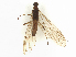 ( - CBG-B11029-G08)  @11 [ ] CreativeCommons - Attribution Share - Alike (2025) CBG Photography Group Centre for Biodiversity Genomics