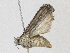  ( - BIOUG95289-C09)  @11 [ ] CreativeCommons - Attribution Share - Alike (2023) CBG Photography Group Centre for Biodiversity Genomics