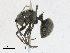  ( - CBG-A15032-E02)  @11 [ ] CreativeCommons - Attribution Share-Alike (2023) CBG Photography Group Centre for Biodiversity Genomics