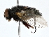  ( - BIOUG71212-D12)  @11 [ ] CreativeCommons - Attribution (2022) CBG Photography Group Centre for Biodiversity Genomics