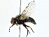  ( - BIOUG71212-E03)  @11 [ ] CreativeCommons - Attribution (2022) CBG Photography Group Centre for Biodiversity Genomics