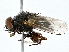  ( - BIOUG71212-E04)  @11 [ ] CreativeCommons - Attribution (2022) CBG Photography Group Centre for Biodiversity Genomics