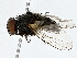  ( - BIOUG71212-G02)  @11 [ ] CreativeCommons - Attribution (2022) CBG Photography Group Centre for Biodiversity Genomics