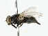  ( - BIOUG85273-F02)  @11 [ ] CreativeCommons - Attribution (2022) CBG Photography Group Centre for Biodiversity Genomics