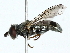  ( - BIOUG85274-C11)  @11 [ ] CreativeCommons - Attribution (2022) CBG Photography Group Centre for Biodiversity Genomics