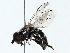  ( - BIOUG85274-E12)  @11 [ ] CreativeCommons - Attribution (2022) CBG Photography Group Centre for Biodiversity Genomics