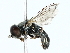  ( - BIOUG85274-G06)  @11 [ ] CreativeCommons - Attribution (2022) CBG Photography Group Centre for Biodiversity Genomics