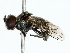  ( - BIOUG85274-H05)  @11 [ ] CreativeCommons - Attribution (2022) CBG Photography Group Centre for Biodiversity Genomics