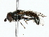  ( - BIOUG85274-H06)  @11 [ ] CreativeCommons - Attribution (2022) CBG Photography Group Centre for Biodiversity Genomics