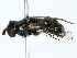  ( - BIOUG85275-D08)  @11 [ ] CreativeCommons - Attribution (2022) CBG Photography Group Centre for Biodiversity Genomics