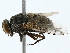  ( - BIOUG85276-B11)  @11 [ ] CreativeCommons - Attribution (2022) CBG Photography Group Centre for Biodiversity Genomics
