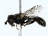  ( - BIOUG85277-G08)  @11 [ ] CreativeCommons - Attribution (2022) CBG Photography Group Centre for Biodiversity Genomics