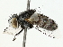  ( - BIOUG85278-B01)  @11 [ ] CreativeCommons - Attribution (2022) CBG Photography Group Centre for Biodiversity Genomics