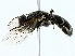  ( - BIOUG85278-F06)  @11 [ ] CreativeCommons - Attribution (2022) CBG Photography Group Centre for Biodiversity Genomics
