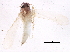  ( - BIOUG11984-A05)  @13 [ ] CreativeCommons - Attribution (2014) CBG Photography Group Centre for Biodiversity Genomics