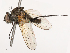  ( - CBG-B03944-A10)  @11 [ ] CreativeCommons - Attribution Share - Alike (2025) CBG Photography Group Centre for Biodiversity Genomics