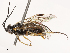  ( - CBG-B03944-B10)  @11 [ ] CreativeCommons - Attribution Share - Alike (2025) CBG Photography Group Centre for Biodiversity Genomics