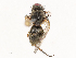  ( - CBG-B04127-E11)  @11 [ ] CreativeCommons - Attribution Share - Alike (2025) CBG Photography Group Centre for Biodiversity Genomics
