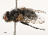  ( - CBG-B04127-G09)  @11 [ ] CreativeCommons - Attribution Share - Alike (2025) CBG Photography Group Centre for Biodiversity Genomics