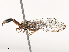  ( - CBG-B04131-C12)  @11 [ ] CreativeCommons - Attribution Share - Alike (2025) CBG Photography Group Centre for Biodiversity Genomics
