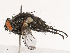  ( - CBG-B04144-B04)  @11 [ ] CreativeCommons - Attribution Share - Alike (2025) CBG Photography Group Centre for Biodiversity Genomics