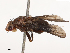  ( - CBG-B04144-E07)  @11 [ ] CreativeCommons - Attribution Share - Alike (2025) CBG Photography Group Centre for Biodiversity Genomics