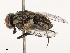  ( - CBG-B04144-F10)  @11 [ ] CreativeCommons - Attribution Share - Alike (2025) CBG Photography Group Centre for Biodiversity Genomics