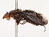  ( - CBG-B21227-A10)  @11 [ ] CreativeCommons - Attribution Share - Alike (2025) CBG Photography Group Centre for Biodiversity Genomics