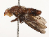  ( - CBG-B21227-D10)  @11 [ ] CreativeCommons - Attribution Share - Alike (2025) CBG Photography Group Centre for Biodiversity Genomics