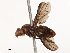  ( - CBG-B21227-F04)  @11 [ ] CreativeCommons - Attribution Share - Alike (2025) CBG Photography Group Centre for Biodiversity Genomics