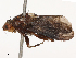  ( - CBG-B21227-H11)  @11 [ ] CreativeCommons - Attribution Share - Alike (2025) CBG Photography Group Centre for Biodiversity Genomics