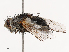  ( - CBG-B21230-A02)  @11 [ ] CreativeCommons - Attribution Share - Alike (2025) CBG Photography Group Centre for Biodiversity Genomics