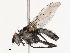  ( - CBG-B21230-A07)  @11 [ ] CreativeCommons - Attribution Share - Alike (2025) CBG Photography Group Centre for Biodiversity Genomics