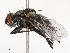  ( - CBG-B21230-A08)  @11 [ ] CreativeCommons - Attribution Share - Alike (2025) CBG Photography Group Centre for Biodiversity Genomics