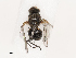  ( - CBG-B21230-B04)  @11 [ ] CreativeCommons - Attribution Share - Alike (2025) CBG Photography Group Centre for Biodiversity Genomics