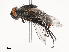  ( - CBG-B21230-B12)  @11 [ ] CreativeCommons - Attribution Share - Alike (2025) CBG Photography Group Centre for Biodiversity Genomics