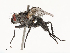  ( - CBG-B21230-C12)  @11 [ ] CreativeCommons - Attribution Share - Alike (2025) CBG Photography Group Centre for Biodiversity Genomics