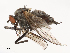  ( - CBG-B21230-H05)  @11 [ ] CreativeCommons - Attribution Share - Alike (2025) CBG Photography Group Centre for Biodiversity Genomics