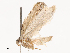  ( - CBG-B21235-G01)  @11 [ ] CreativeCommons - Attribution Share - Alike (2025) CBG Photography Group Centre for Biodiversity Genomics
